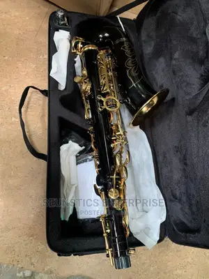 Quality Coloured Alto Saxophone