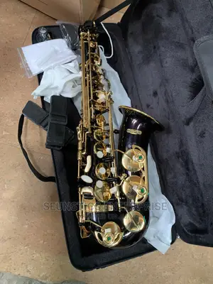 Quality Coloured Alto Saxophone