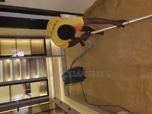 Carpet / Rug Cleaners