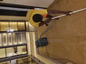 Carpet/Rug Cleaners