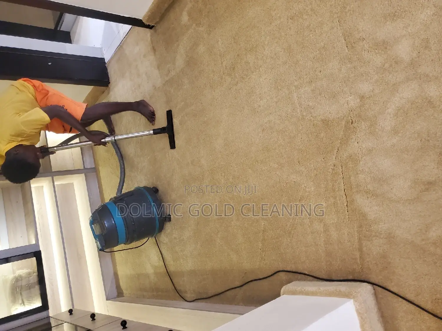 Carpet/Rug Cleaners