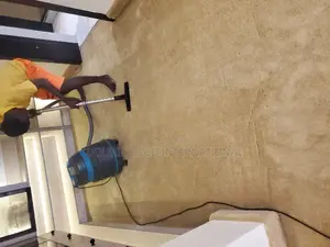 Carpet / Rug Cleaners