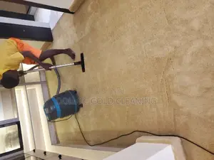 Carpet/Rug Cleaners