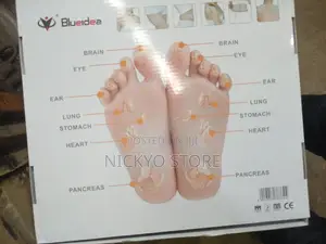 Electronic Pulse Massager