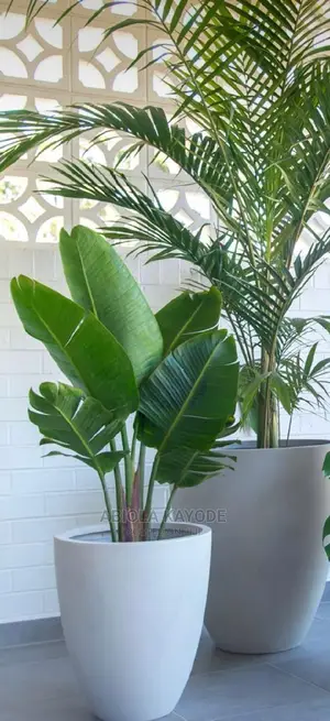 G . N Horticulture
