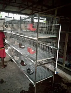 Rabbit Cage System