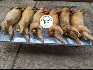 Rabbit Meat : Grilled or Fresh or Peppered
