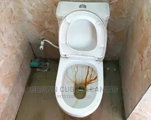 Professional House Cleaning