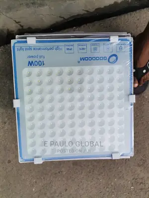 100wats Flood Light White Light