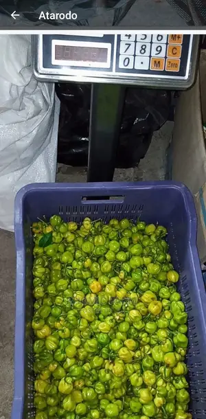 Farm Produce