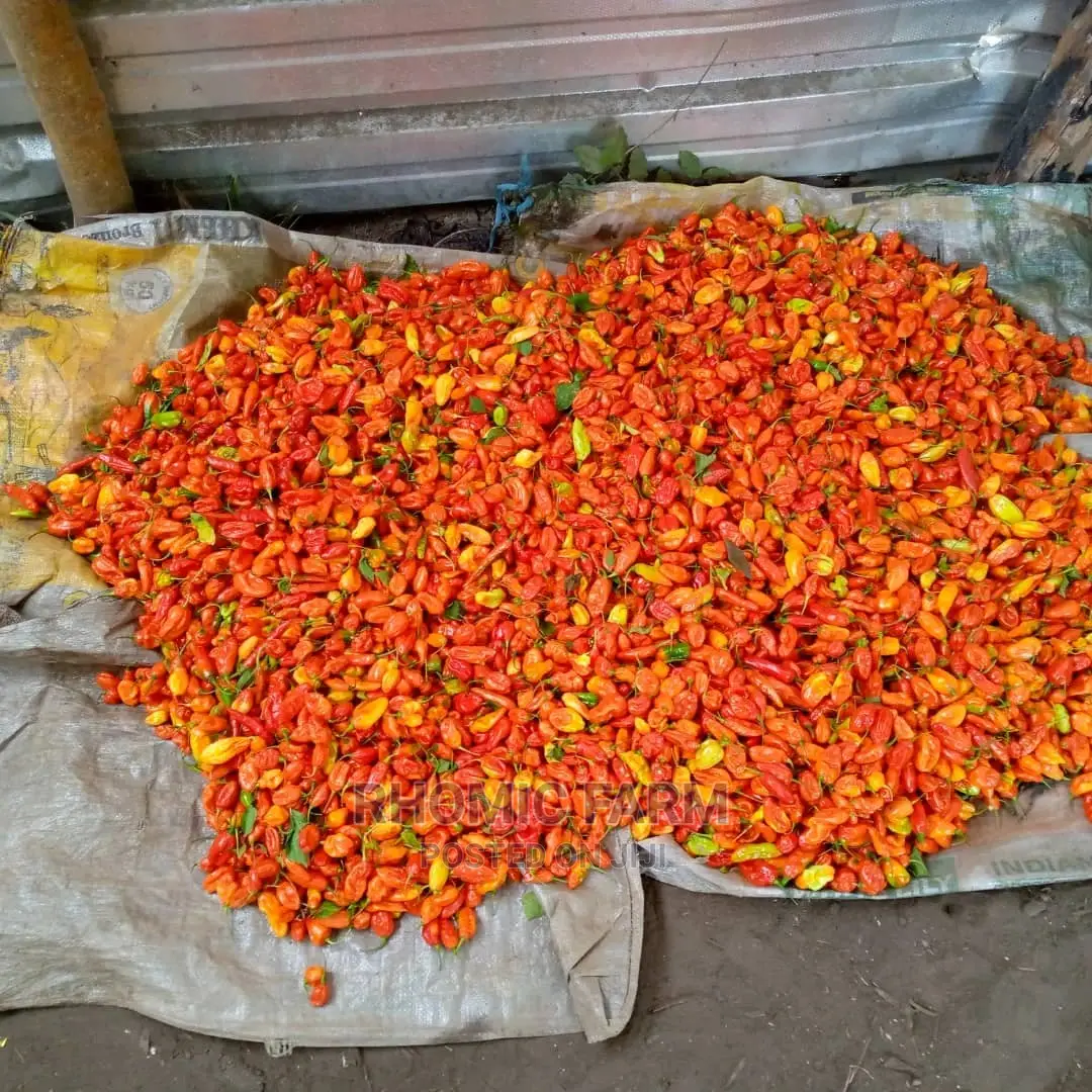 Farm Produce