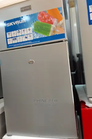 Skyrun Double Door Refrigerator