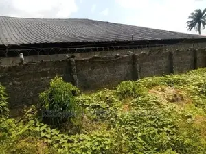 For Sale: 10 Plots Poultry Farm at Uwuagwu