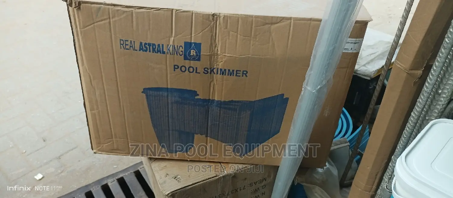 Pool Skimmer Big One