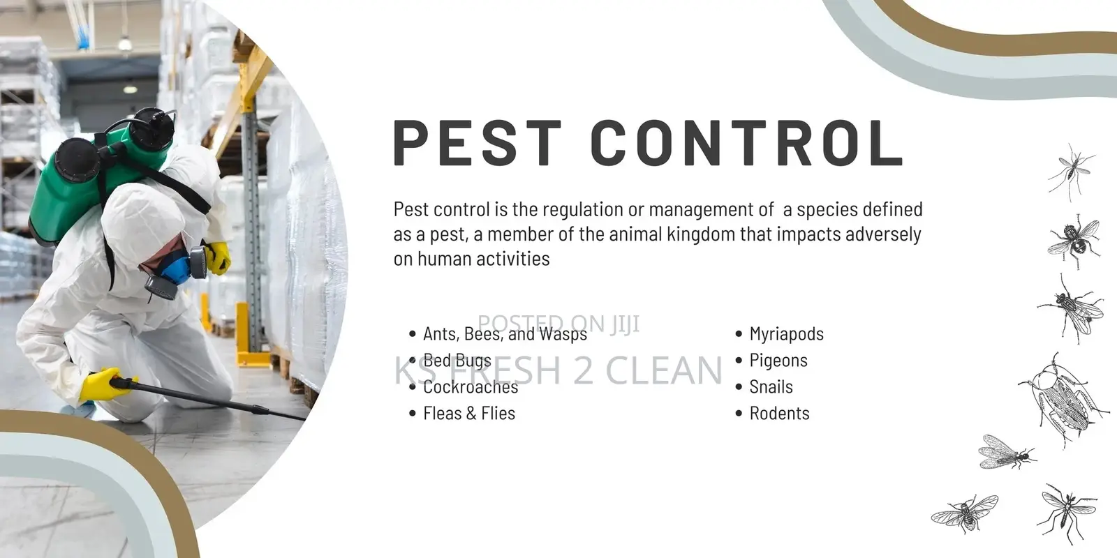 Professional Fumigation Service in Lekki - Safe Effective