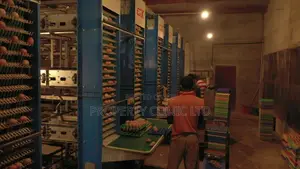 Photo - Poultry and Vegetable Farmland for Sale in Ogun State