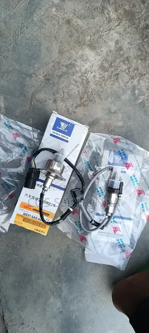 Oxygen Sensor 2019 Accord