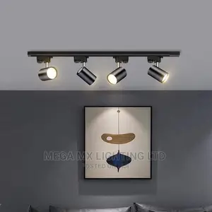 Track LED Home Lights
