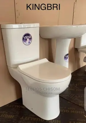 Quality VSTAR Top Flush Ceramic Water Closet.