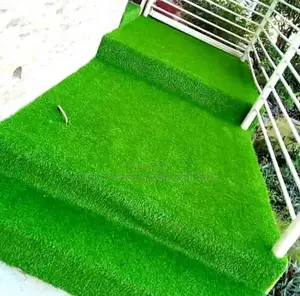 Carpet Grass