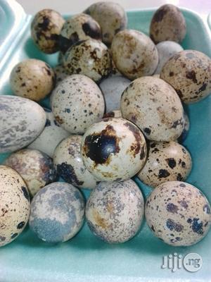 Quail Eggs.