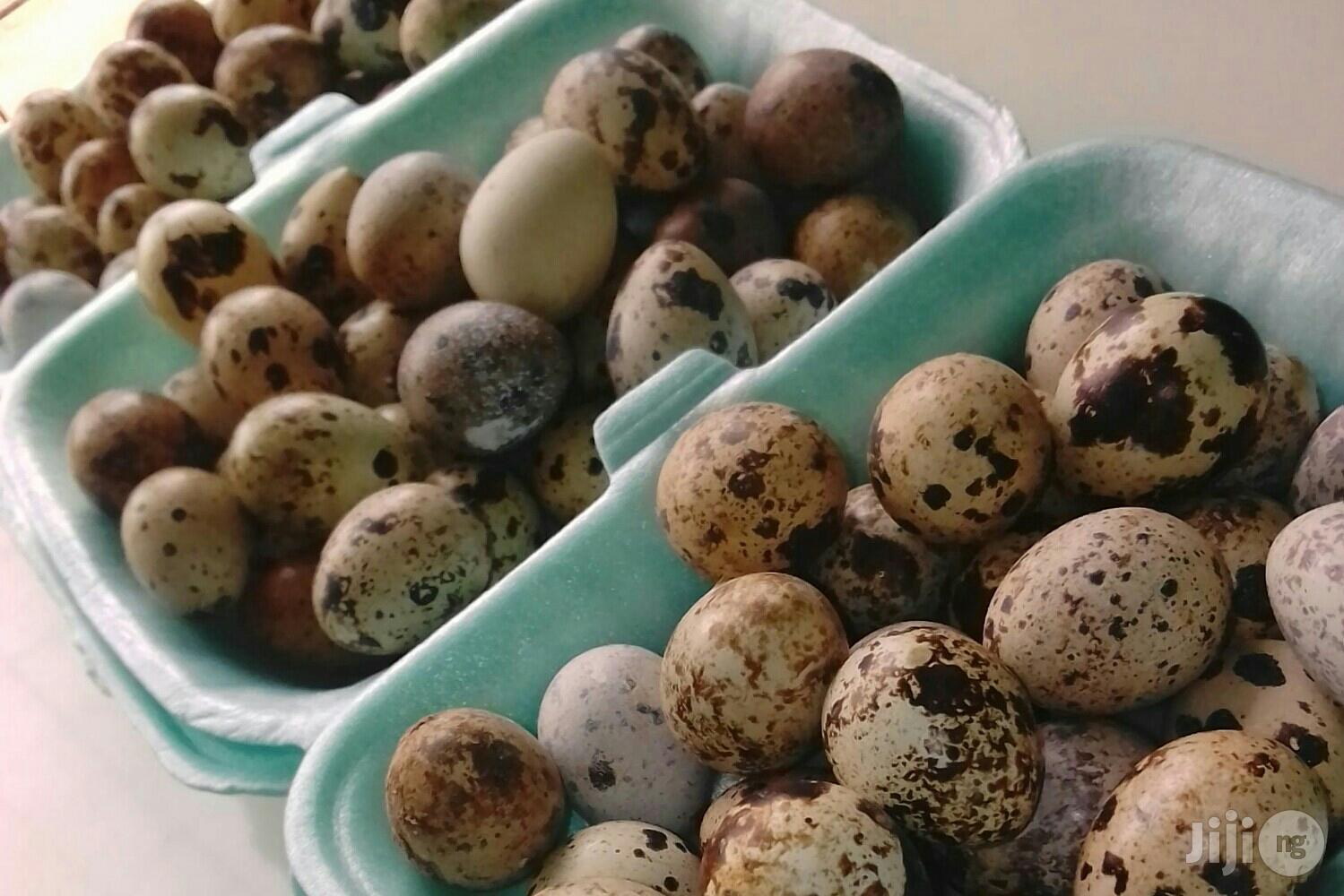 Quail Eggs.