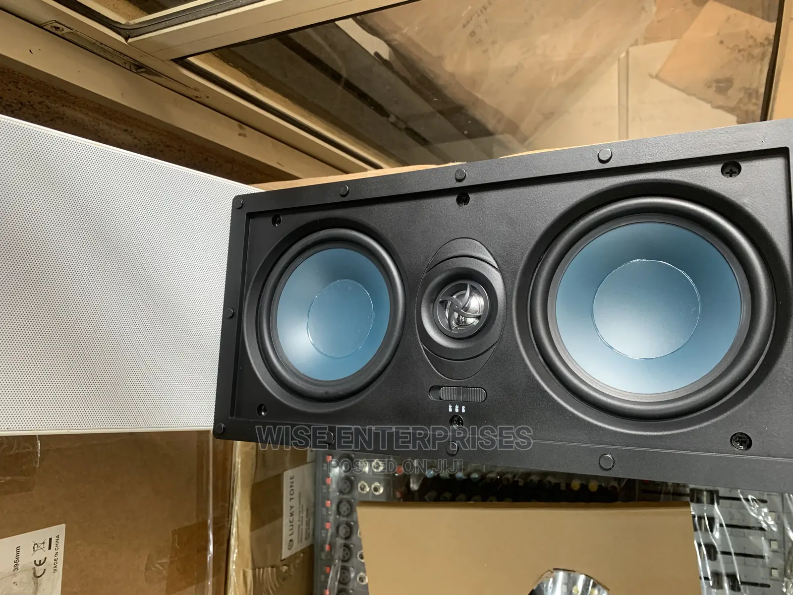 In Wall Celling Speaker