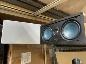 In Wall Celling Speaker