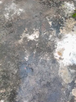 4plots of Dry Land for Sale at Kola Bus Stop With C of O