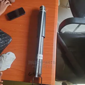 Ford Explorer Shock Absorber (Rear)