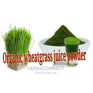 Organic Wheatgrass Juice Powder -250g