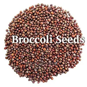 Broccoli Seeds - 100g