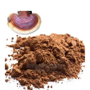 Organic Reishi Muchroom Powder - 100g