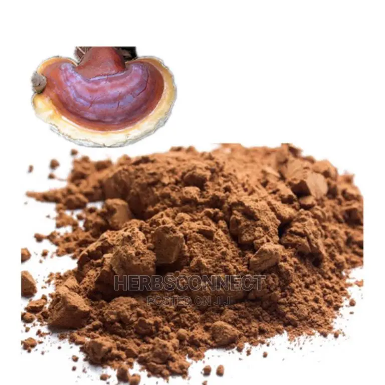Organic Reishi Muchroom Powder - 100g