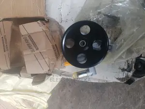 Steering Pump for Ford Edge
