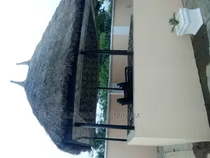 Grass Roofing.Ber House