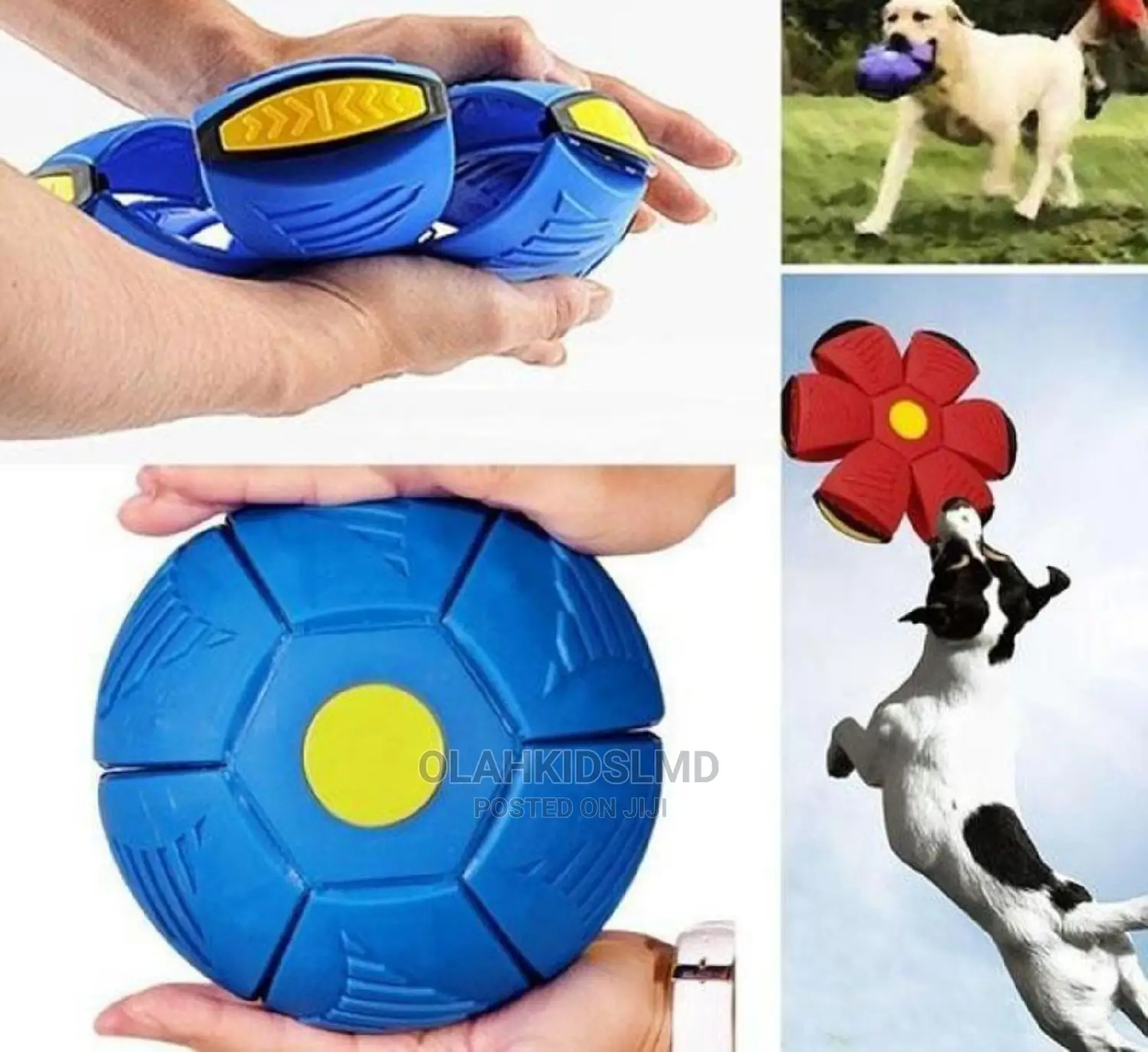 Collapsible Fyling Dics Ball
