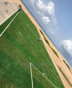 50MM Artificial Football  Grass