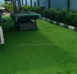 Artificial Grass With Standard Quality 30mm