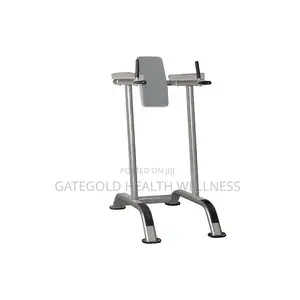 Vertical Kneel Raise IT7010E