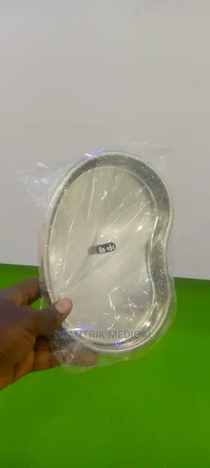 Steel Kidney Dish