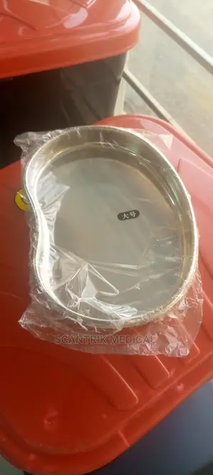 Kidney Trays Kidney Plate Dish Stainless Steel