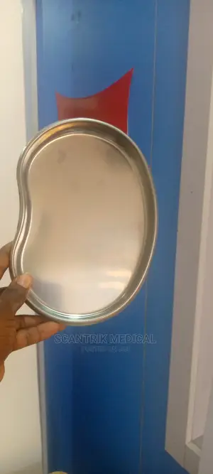 Kidney Dish – Stainless Steel