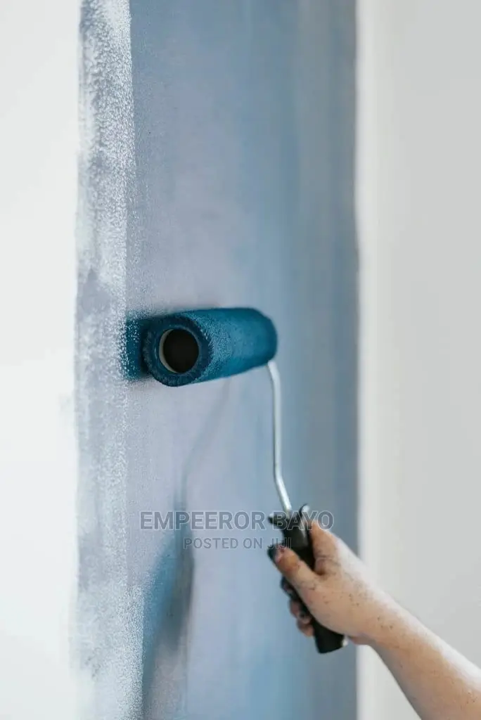 Professional Painter Lagos