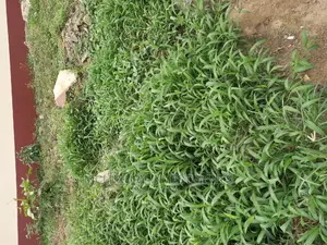 2000sqm Table Land For Sale in GRA Ikeja