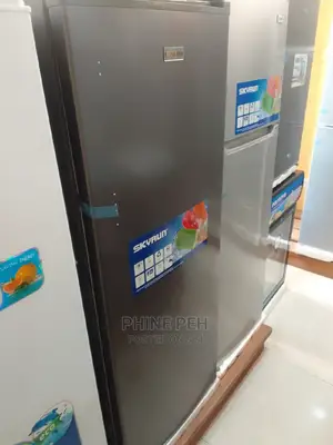 Skyrun Upright Standing Freezer