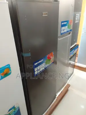 Skyrun Upright Standing Freezer