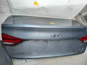 Boot for Hyundai Genesis 2020