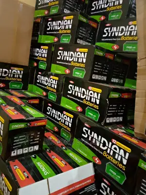 220ah Syndian Solar Battery