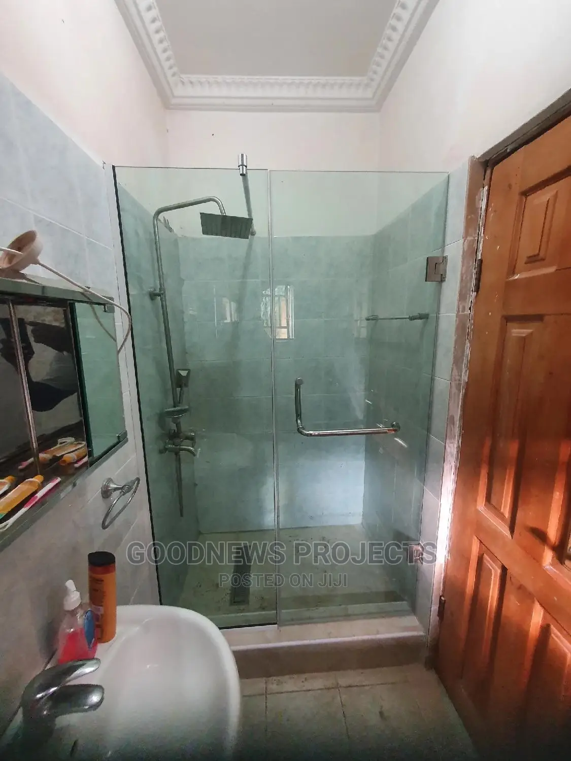 Frameless Glass Hinge Shower Bathroom